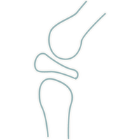 Bone and Joint Health